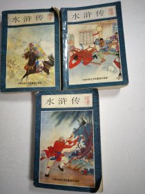 中国古典文学名著连环画库：水浒传（上中下册）