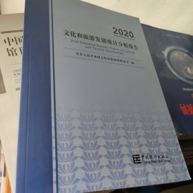 文化和旅游发展统计分析报告-2020