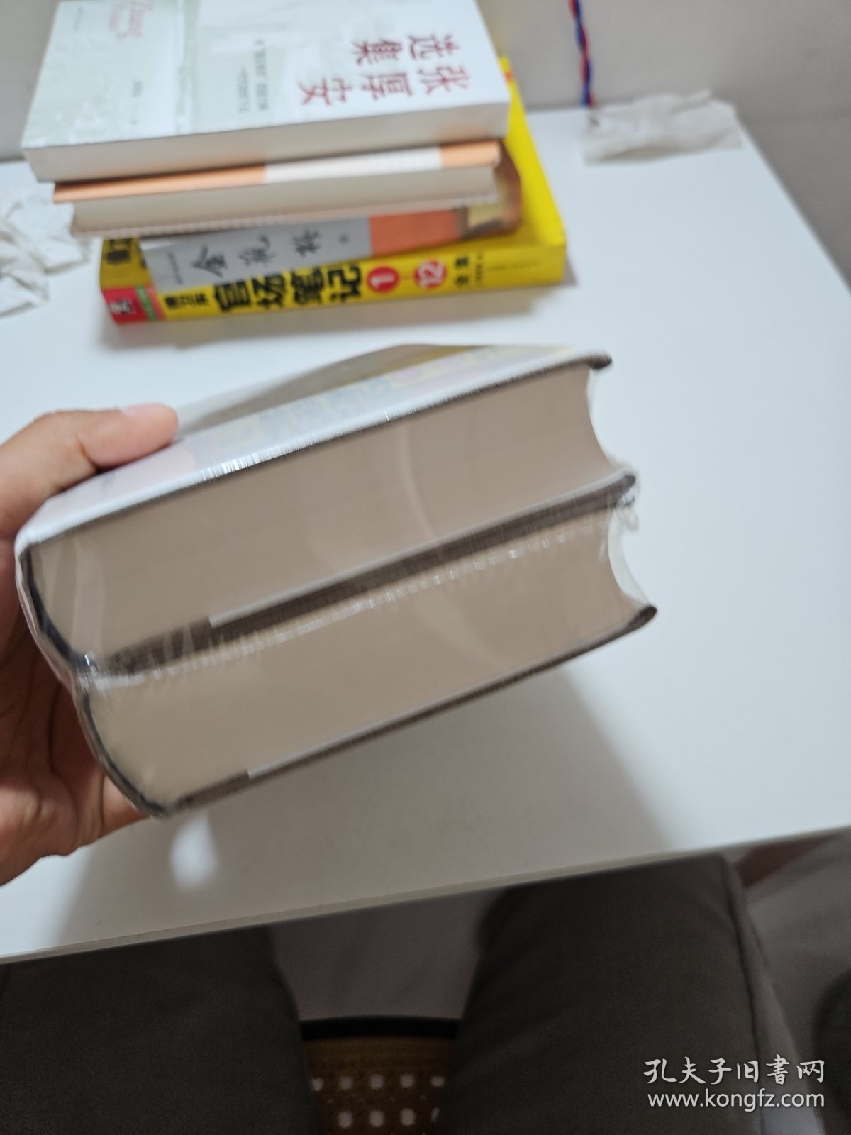 木心全集讲稿系列：文学回忆录 上下册