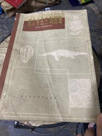 湖北省古生物图册