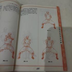 南派洪家三绝系列：虎鹤双形拳（经典珍藏版）