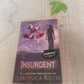 Insurgent (Divergent Trilogy #2)分歧者2：叛乱者 英文原版