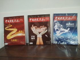 中国医院院长 第20卷 第12、13、15期（3本合售）
