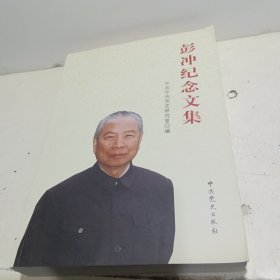 彭冲纪念文集