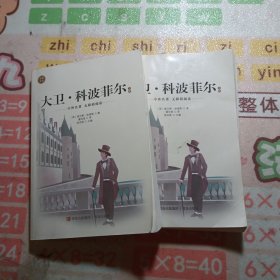 大卫·科波菲尔 外国现当代文学 张洪美主编 新华正版 上下