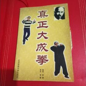 真正大成拳