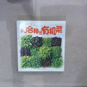 阳台种出有机菜