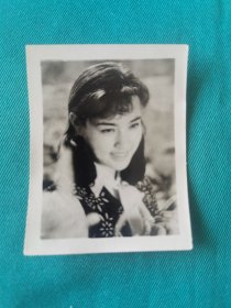 八十年代明星刘晓庆照片