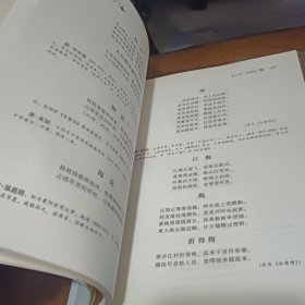 咏梅诗大观
