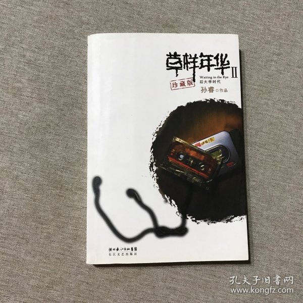 草样年华Ⅱ：后大学时代