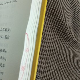 拉美黄皮书：拉丁美洲和加勒比发展报告（2020~2021）