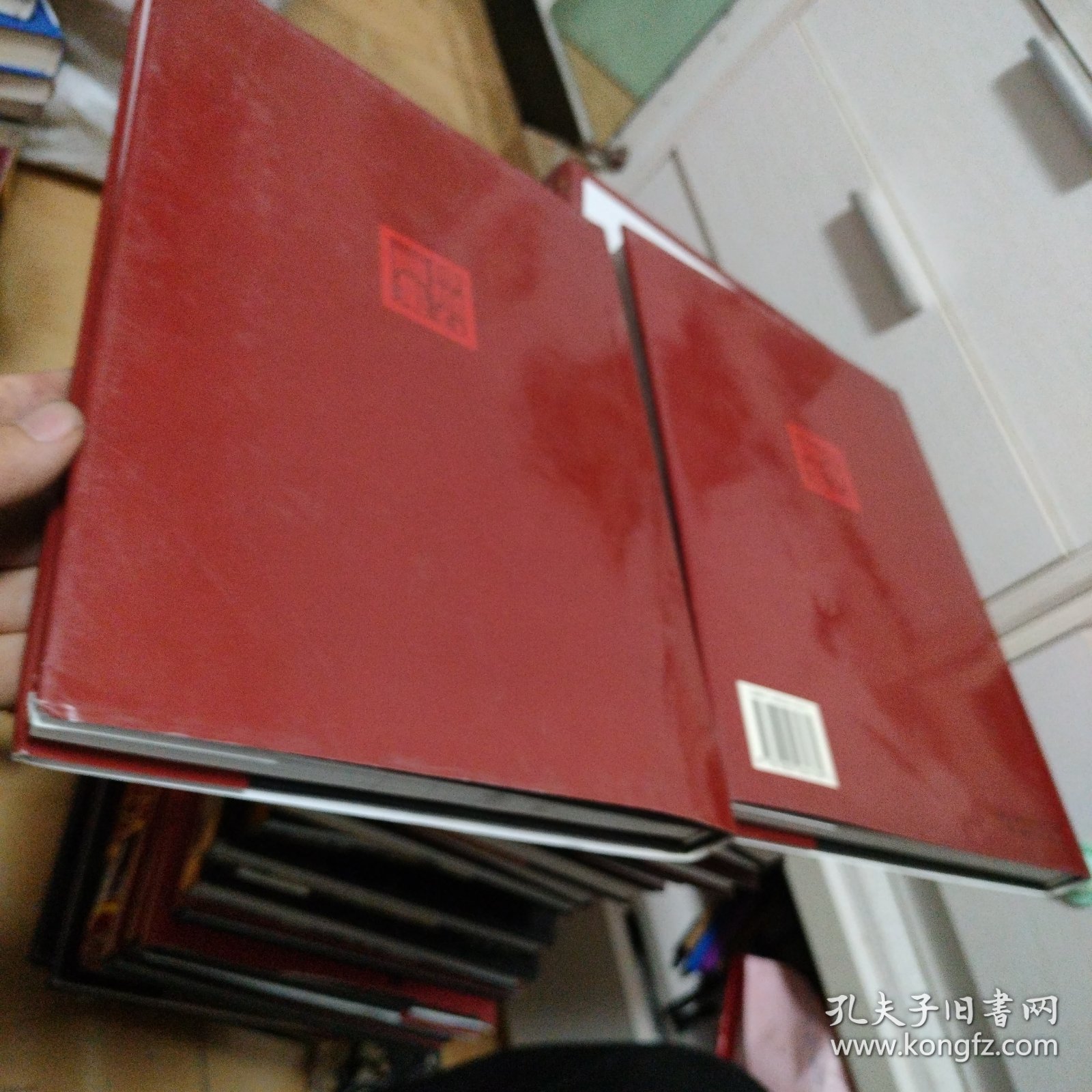 傅抱石画集，上下册