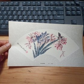 海棠蝴蝶：20开散页扇面画一张