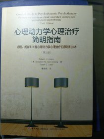 万千心理·心理动力学心理治疗简明指南：短程、间断和长程心理动力学心理治疗的原则和技术：第三版