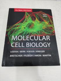 molecular cell biology