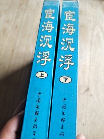 宦海沉浮 上下册
