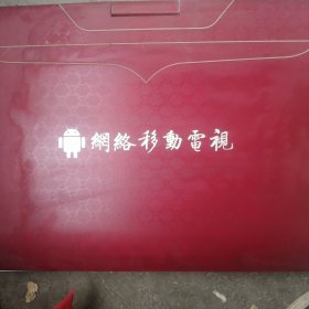 网络移动电视 影碟机