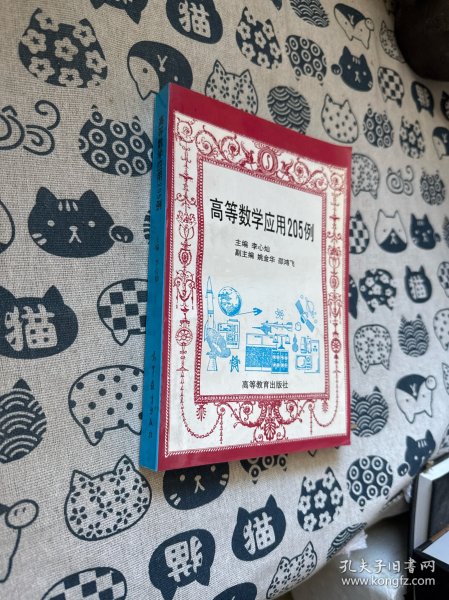 高等数学应用205例