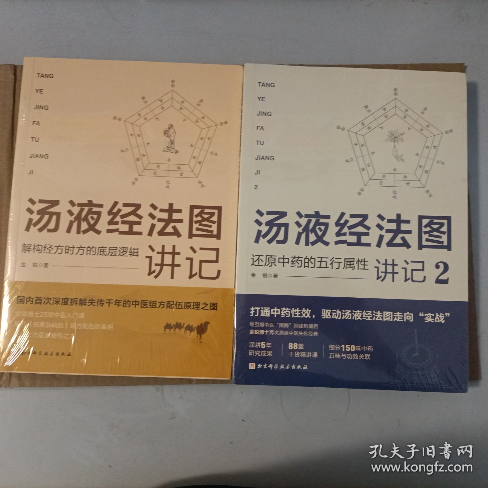 汤液经法图讲记1+2 （两册）