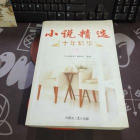 小说精选十年精华（春）一版一印