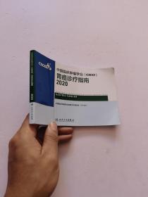 中国临床肿瘤学会（CSCO）胃癌诊疗指南 2020