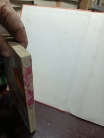 红罂粟丛书——正宫娘娘