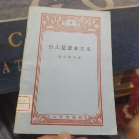 什么是资本主义（外品如图，内页干净，近9品）