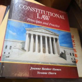 CONSTITUTIONAL LAW Principles and Practice宪法-原则和实践