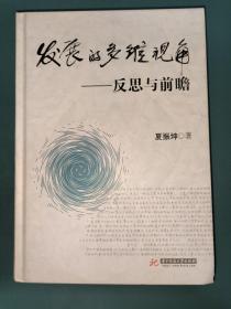 发展的多维视角：反思与前瞻