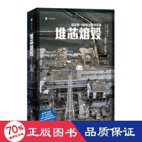 堆芯熔毁:福岛核电站事故实录 外国现当代文学 ()大鹿靖明