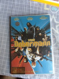 DVD 太保密码