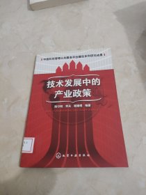 技术发展中的产业政策