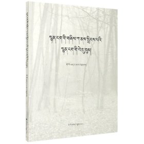 正版新书现货 诗苑里寄来的一封诗信(藏文版) 9787105160792 丁平|责编:洛绒拉姆
