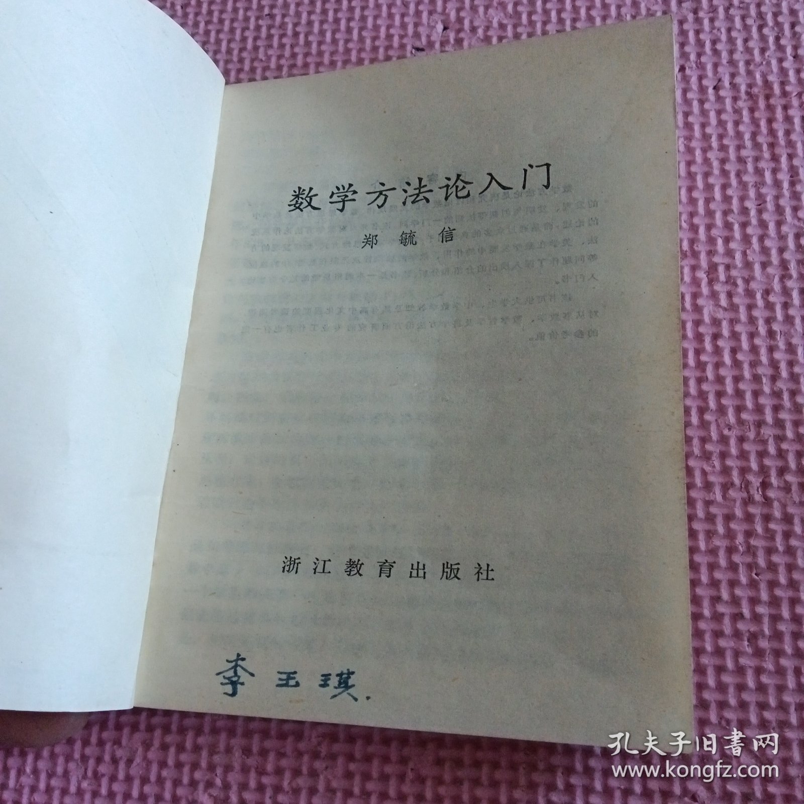 数学方法论入门