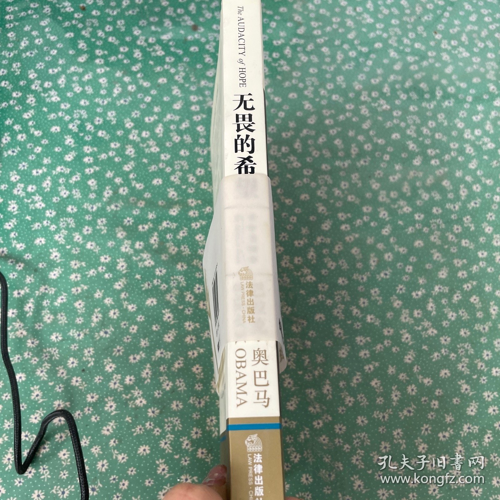 无畏的希望：重申美国梦