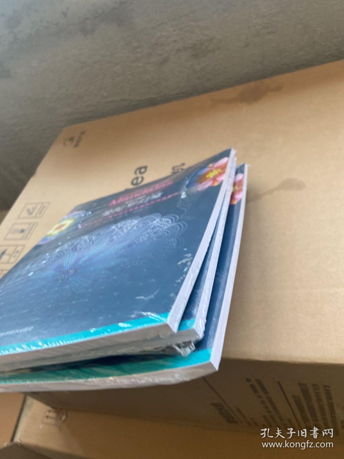 瓦伦汀娜的曼陀罗幻境：幻若心之花，独创花形能量圈的忘忧涂色书