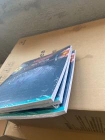 瓦伦汀娜的曼陀罗幻境：幻若心之花，独创花形能量圈的忘忧涂色书