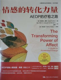 情感的转化力量AEDP的疗愈之路