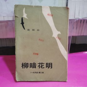 柳暗花明 《一代风流》第三卷