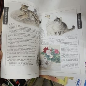 工笔画线描动物画谱 名猫篇