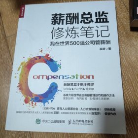 薪酬总监修炼笔记我在世界500强公司管薪酬