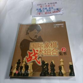 国际象棋战术组合集萃（下）