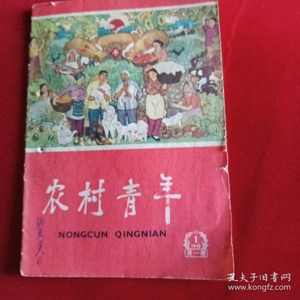 农村青丰月刊