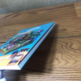 我的世界(一起建筑吧冒险主题公园)