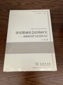 唐宋都城社会结构研究：对城市经济与社会的关注