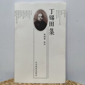 丁锡田集