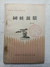 树桩盆景
