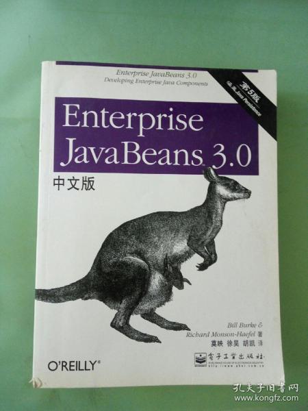 Enterprise JavaBeans 3.0中文版