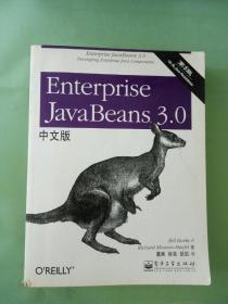 Enterprise JavaBeans 3.0中文版