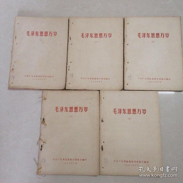 毛泽东思想万岁（2-6）